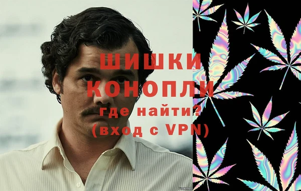 прущие грибы Армянск