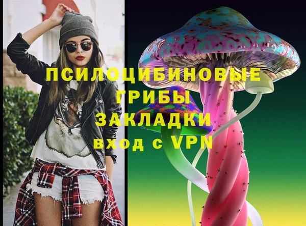 дмт Арсеньев