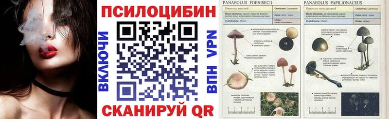 Псилоцибиновые грибы Cubensis  Урай 
